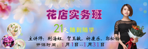 開封鮮花藝術(shù)培訓(xùn)在鄭州哪個地方