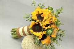 三門峽鮮花藝術學費貴不貴？