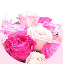 鶴壁鮮花花藝學(xué)習(xí)學(xué)校哪兒專業(yè)